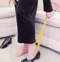 long shoe horn