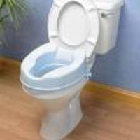 raised toilet seat